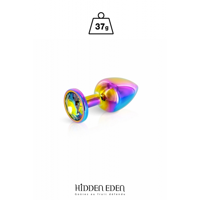 Plug bijou aluminium Rainbow XS - Hidden Eden